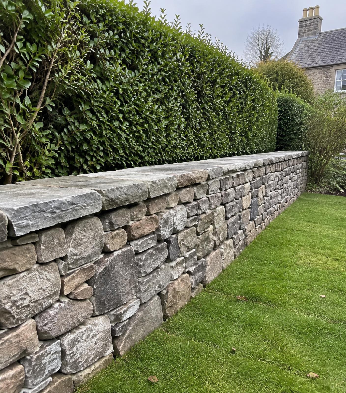 Rebuilt coursed stone garden wall with flat coping stones beside a hedge